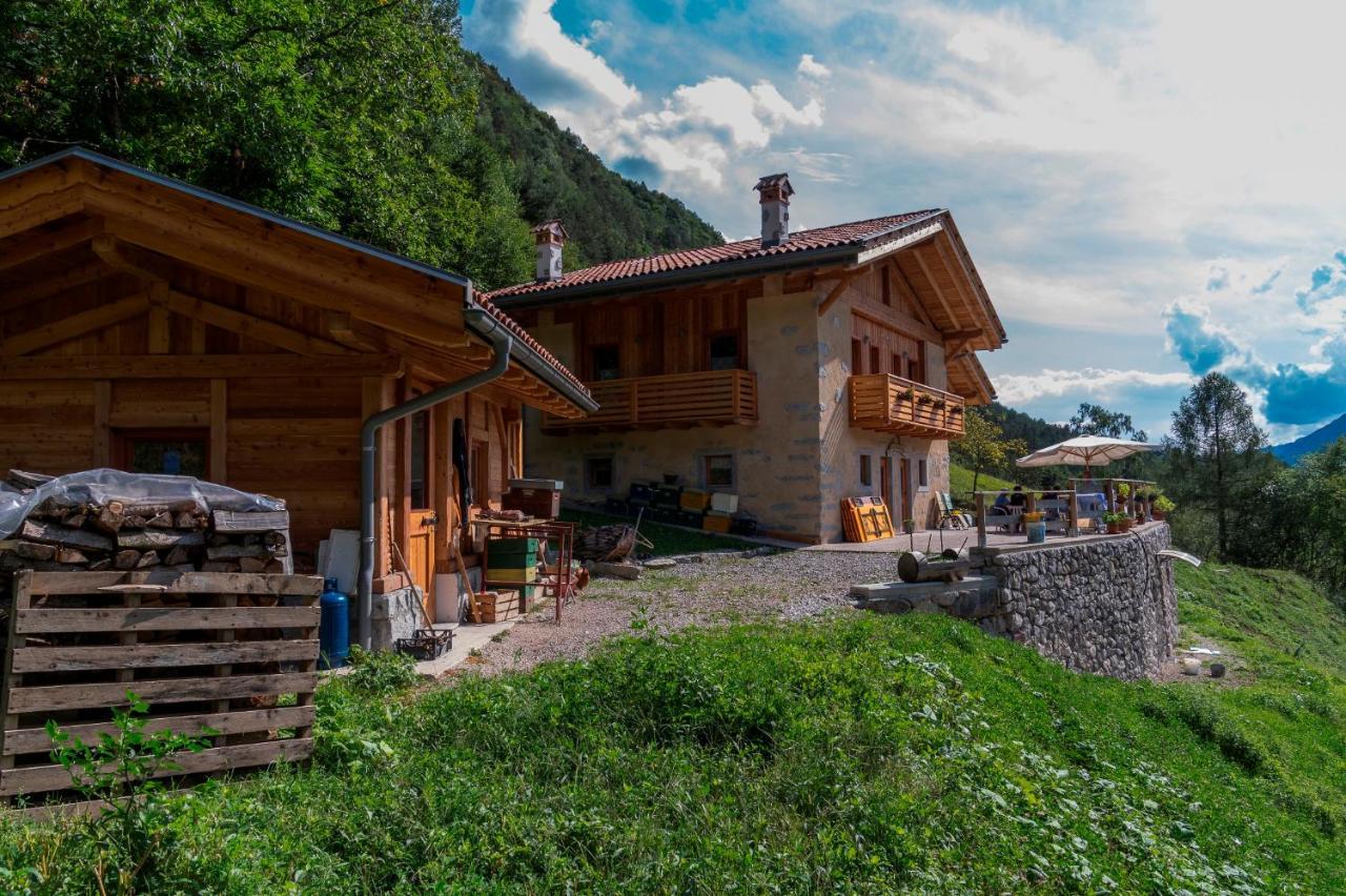 Agriturismo La Meta Pieve di Bono Exteriör bild